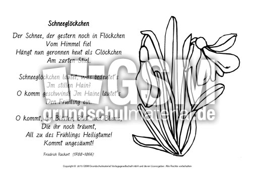 Schneeglöckchen-Rückert-ausmalen.pdf